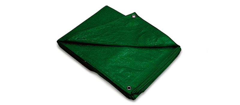 fores-green2 fores-green2