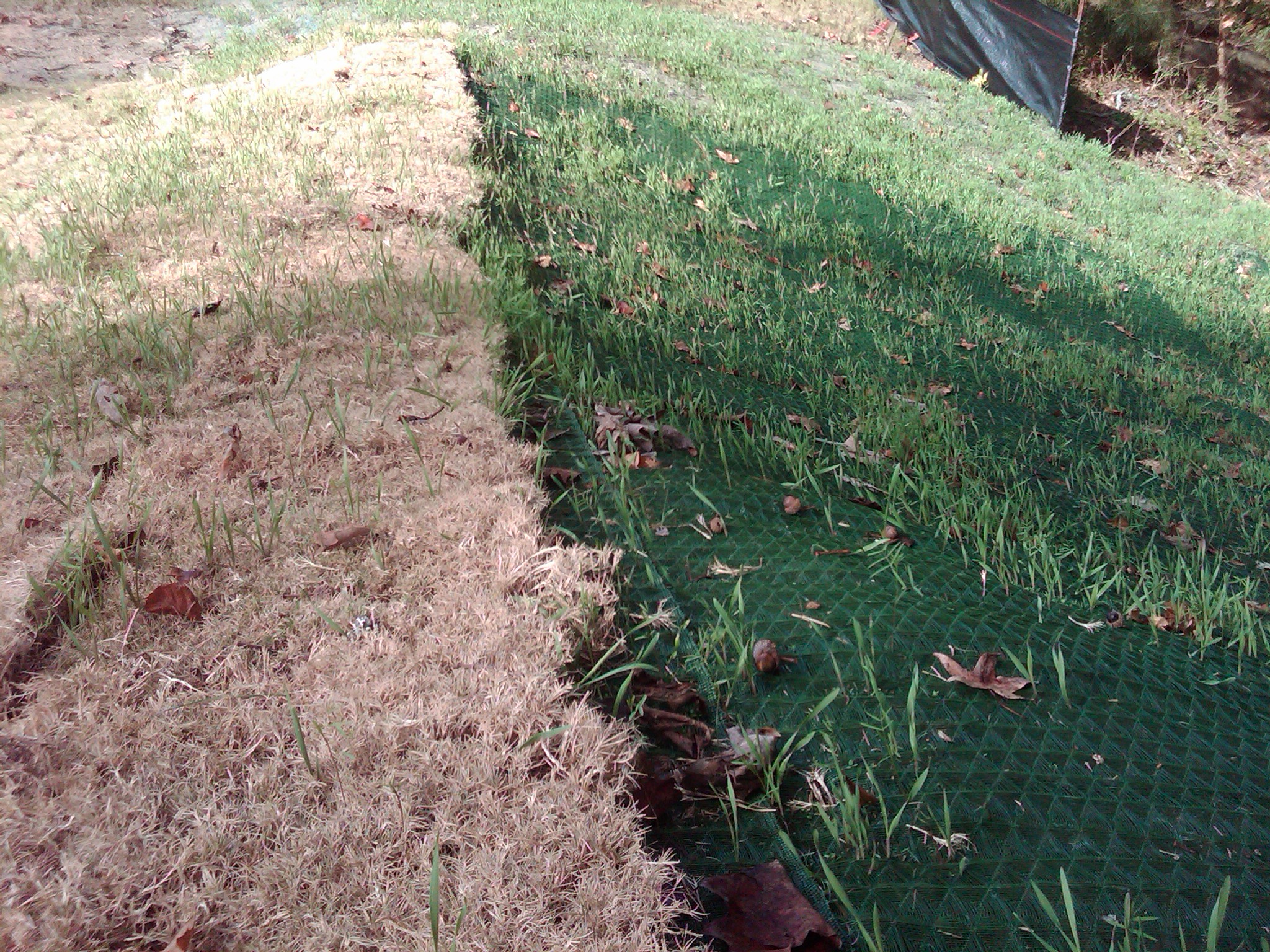 Turf Reinforcement Mat vs Erosion Control Blanket: What to Know